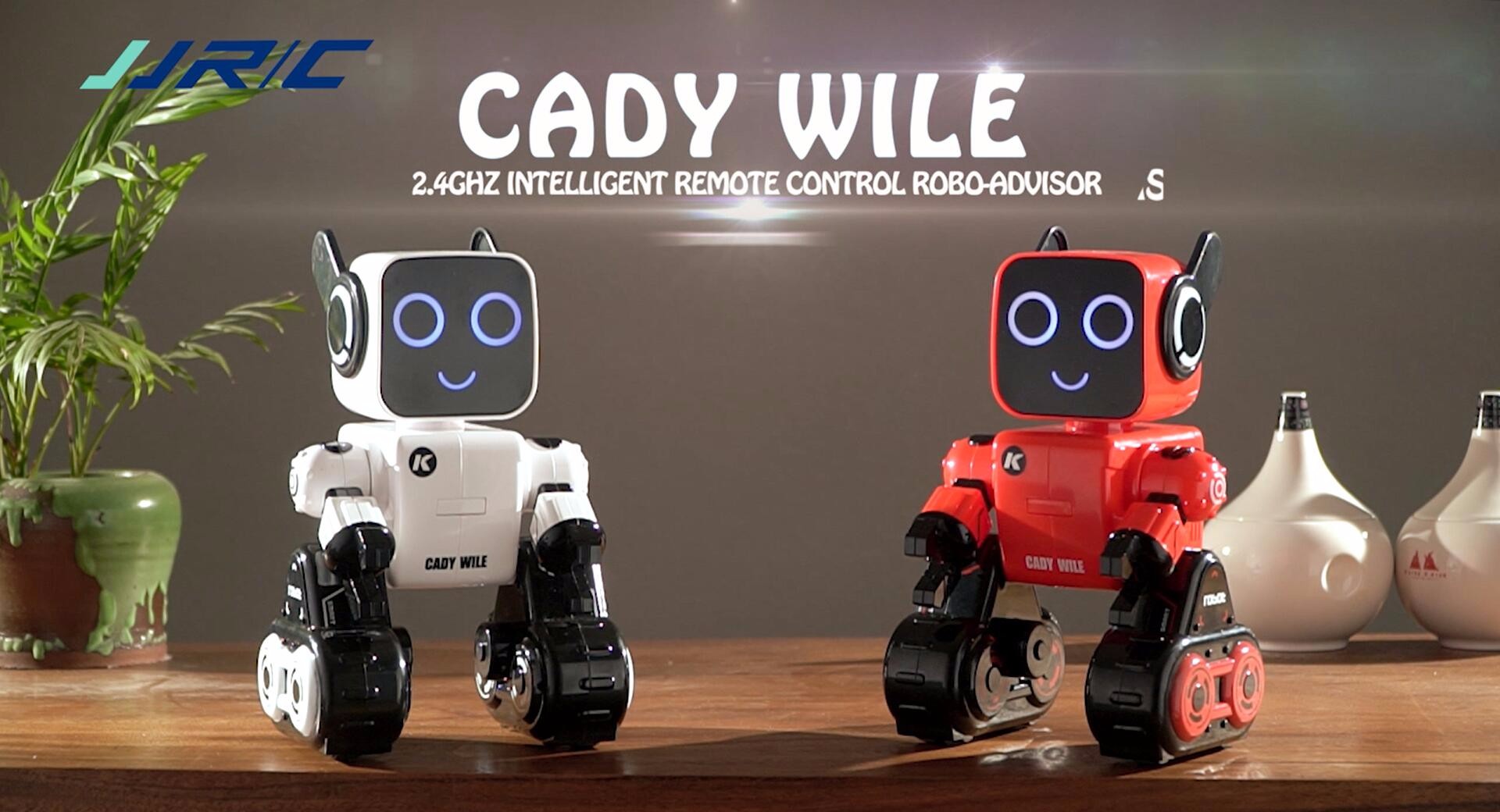 2.4GHZ INTELLIGENT REMOTE CONTROL ROBO-ADVISOR